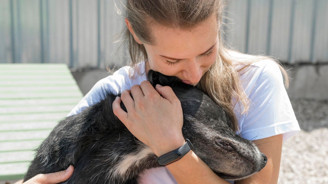 Prevenir el abandono de perros requiere campañas permanentes de esterilización y adopción responsable.png